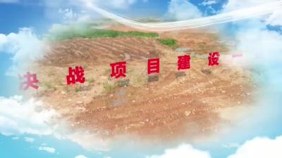 湖北进创供应链管理项目：抢工期 刷进度 加快干