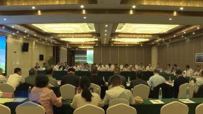 民生实事追踪 | 《G220武穴至瑞昌过江通道航道通航条件影响评价报告》顺利通过评审