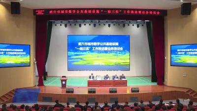 我市召开城市数字公共基础设施