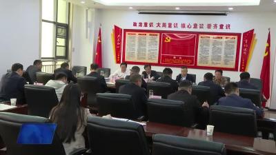 胡昊主持召开湖北省智能化新能源船舶产业园推进工作专题会
