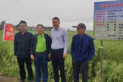湖北省重大油菜新品种观摩交流会在武穴召开