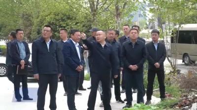 查俊调研武穴大道西段和凤凰路北段改造工程