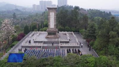 市退役军人事务局开展“铸魂·2024·清明祭英烈”“六个一”主题祭扫活动
