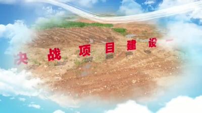 供销社集采集配综合服务中心项目稳步推进