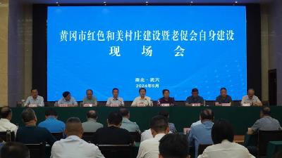 黄冈市红色和美村庄建设暨老促会自身建设现场会在我市召开
