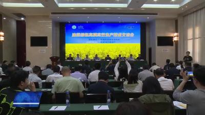 全国油菜绿色高质高效生产技术观摩湖北交流活动在武穴举办