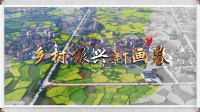 石佛寺镇：路通百业兴 乡村焕新颜