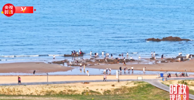 时政现场说丨打造活力多元阳光海岸绿道 建设绿色可持续海洋生态环境