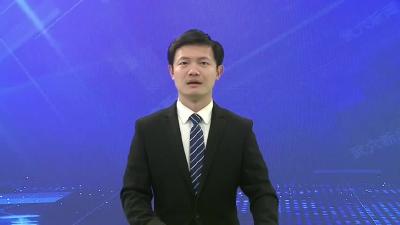 延长石油（湖北）发电有限公司揭牌