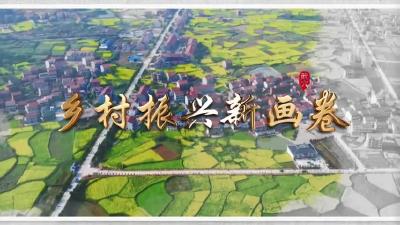 大法寺镇：构建“一村一品一业” 助力乡村振兴
