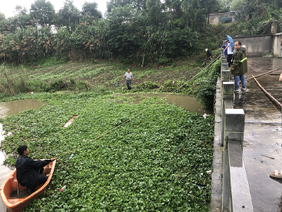 聞汛而動 守護家園丨田家鎮街道：冒雨清除電排站閘口雜物 保園區安全