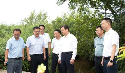 胡昊到花橋、余川兩地檢查督導防汛備汛工作