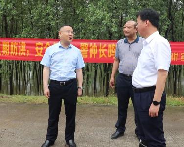 查俊检查督导长江干堤防汛工作
