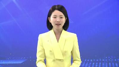 湖北省智能化新能源船舶产业园推进工作专题会召开