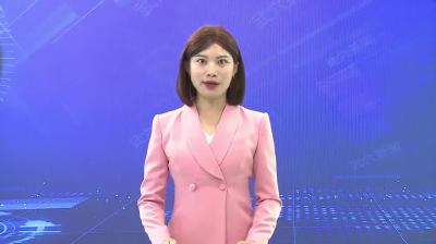 查俊主持召开湖北省智能化新能源船舶产业园推进工作专题会