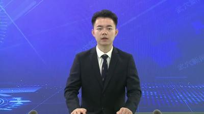 全市产业链招商工作推进会召开