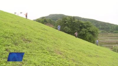 节假日 绷紧弦 梅川镇筑牢防汛“铜墙铁壁”