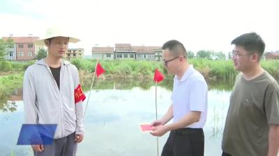 防汛人员及时发现汇报险情  市长江干堤防汛指挥部给予奖励