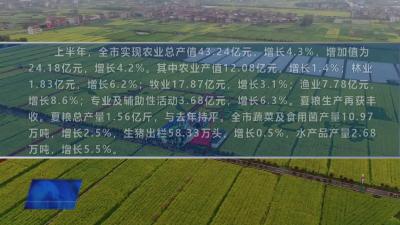 数说武穴上半年经济运行之二：农业生产稳步增长