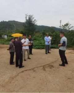 武穴市对矿山生态修复综合治理工程2023年度运维情况进行绩效考核