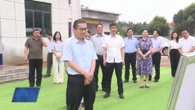 吴晓文来我市调研未成年人司法保护工作
