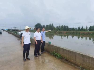 聞汛而動 守護家園 | 市稅務局：以“汛”為令 筑牢防汛藍色堤壩