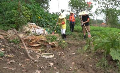 闻汛而动 守护家园 | 陈锦芬：防汛一线靓丽的“巾帼红”
