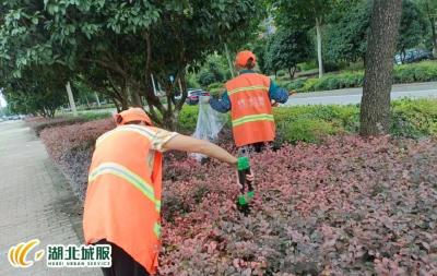 精耕细作 奋战高温 环卫工人用汗水美化城市 
