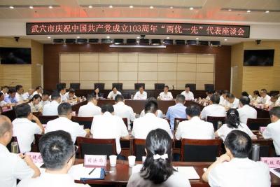 武穴市庆祝中国共产党成立103周年暨“两优一先”代表座谈会召开