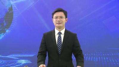 四望镇：油茶套种中药材 走出致富新“套”路