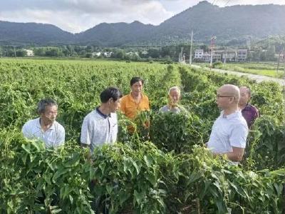 闻汛而动 守护家园丨武穴市党员科技特派员奋战在防汛救灾一线