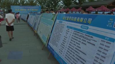 武山湖风清凉  专场招聘火热