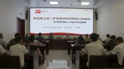 【学习贯彻党的二十届三中全会精神】市政数局组织开展学习贯彻党的二十届三中全会精神宣讲