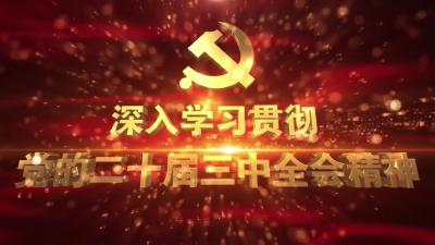 花桥镇：激励斗志 实干担当 推进改革发展新进程