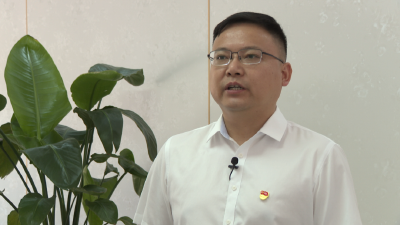 深入学习贯彻党的二十届三中全会精神之书记访谈 | 龙坪镇：凝心聚力谋发展 守正创新谱新篇 