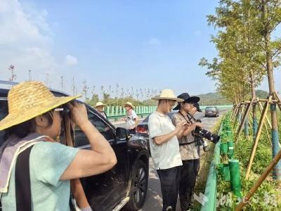 共谋水鸟观测“同心圆”——武山湖国家湿地公园迎来省野保专家指导 