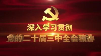 深入学习贯彻党的二十届三中全会精神之书记访谈 | 武穴街道：以全会精神为指引  奋力谱写武穴街道高质量发展新篇章