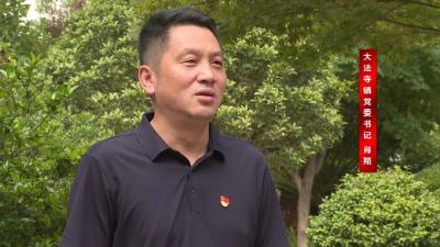 深入学习贯彻党的二十届三中全会精神之书记访谈 | 大法寺镇：以改革创新精神谱写高质量发展新篇章