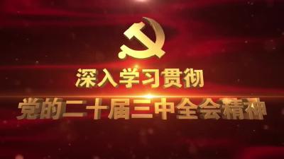 深入学习贯彻党的二十届三中全会精神之书记访谈 | 田家镇街道：以党的二十届三中全会精神为指引 高水平推进园区发展