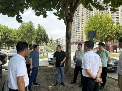 武穴市滨江公园“生态智慧停车场”即将开工建设 