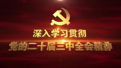 大金镇：深学细悟凝斗志，实干担当促振兴