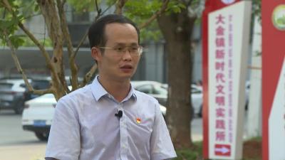 深入学习贯彻党的二十届三中全会精神之书记访谈 | 大金镇：深学细悟凝斗志 实干担当促振兴 
