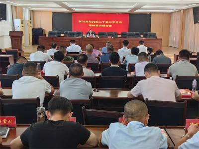 【学习贯彻党的二十届三中全会精神】董晓燕到花桥镇宣讲党的二十届三中全会精神