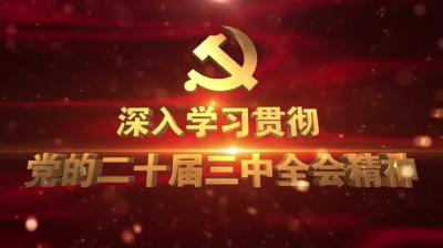 深入学习贯彻党的二十届三中全会精神之书记访谈 | 余川镇：学习贯彻全会精神推动农文旅三产融合发展