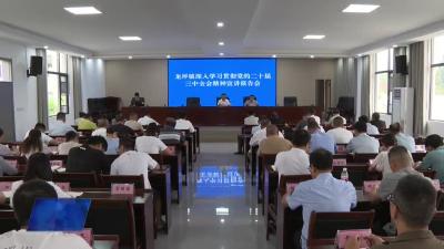 龙坪镇组织开展学习贯彻党的二十届三中全会精神宣讲