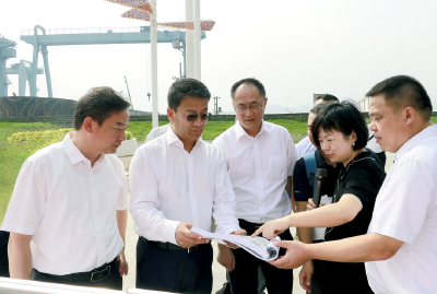 住建部总工程师江小群来我市调研
