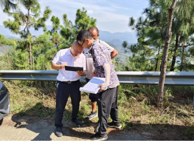 营商环境动态 | 武穴市推进集体林采伐改革试点工作 提升办事质效