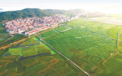 园区+乡村！看石佛寺镇如何推动城乡融合发展、促进农民增收？  