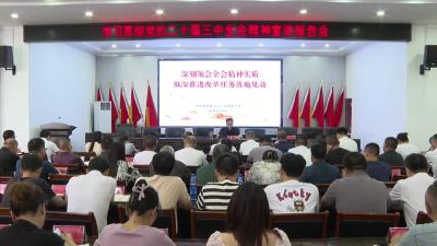 刊江街道组织开展学习贯彻党的二十届三中全会精神宣讲