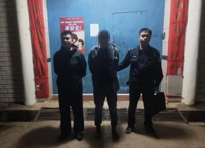 大法寺派出所拘留一名盗窃工地材料违法行为人 
